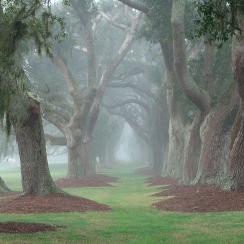 5 Fun Things to Do on a Rainy Day on St. Simons Island