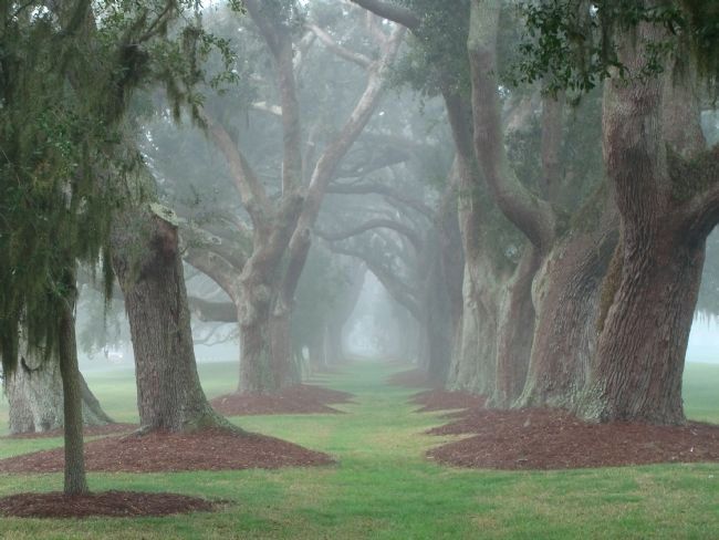 5 Fun Things to Do on a Rainy Day on St. Simons Island