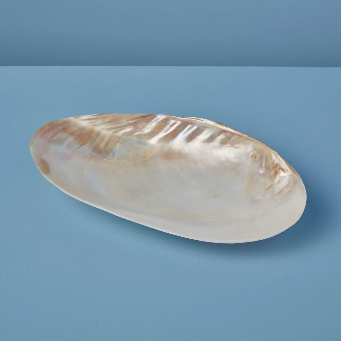 Seashell Footed Dish