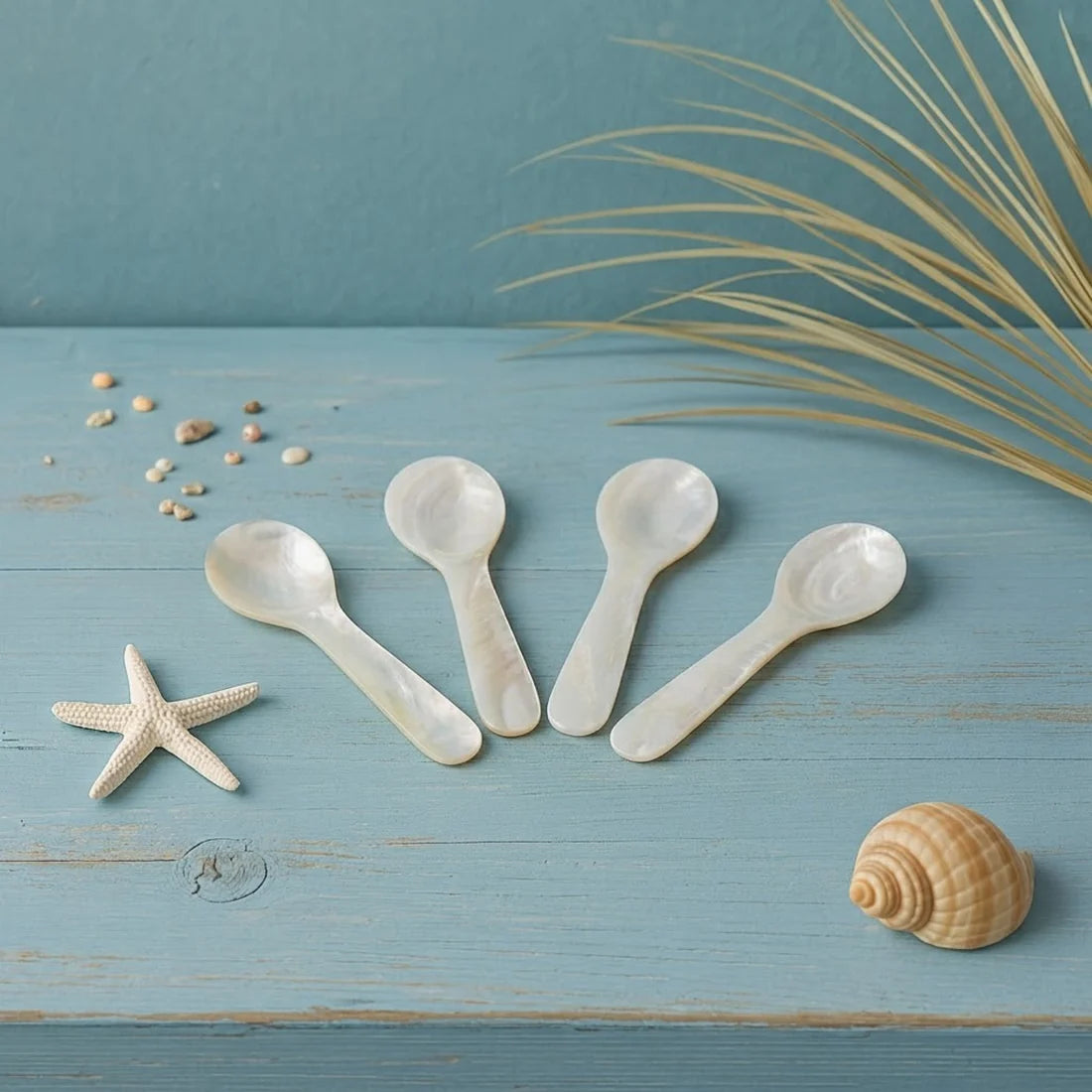 Seashell Spoons, Small Set of 4