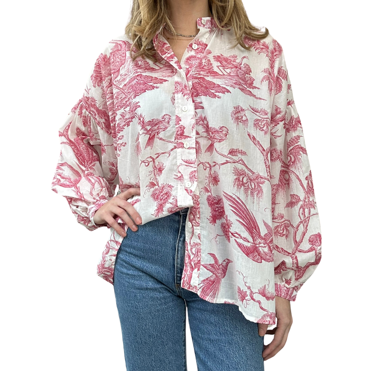 Claramonte Blouse - Delice Birds - (ink or pink)