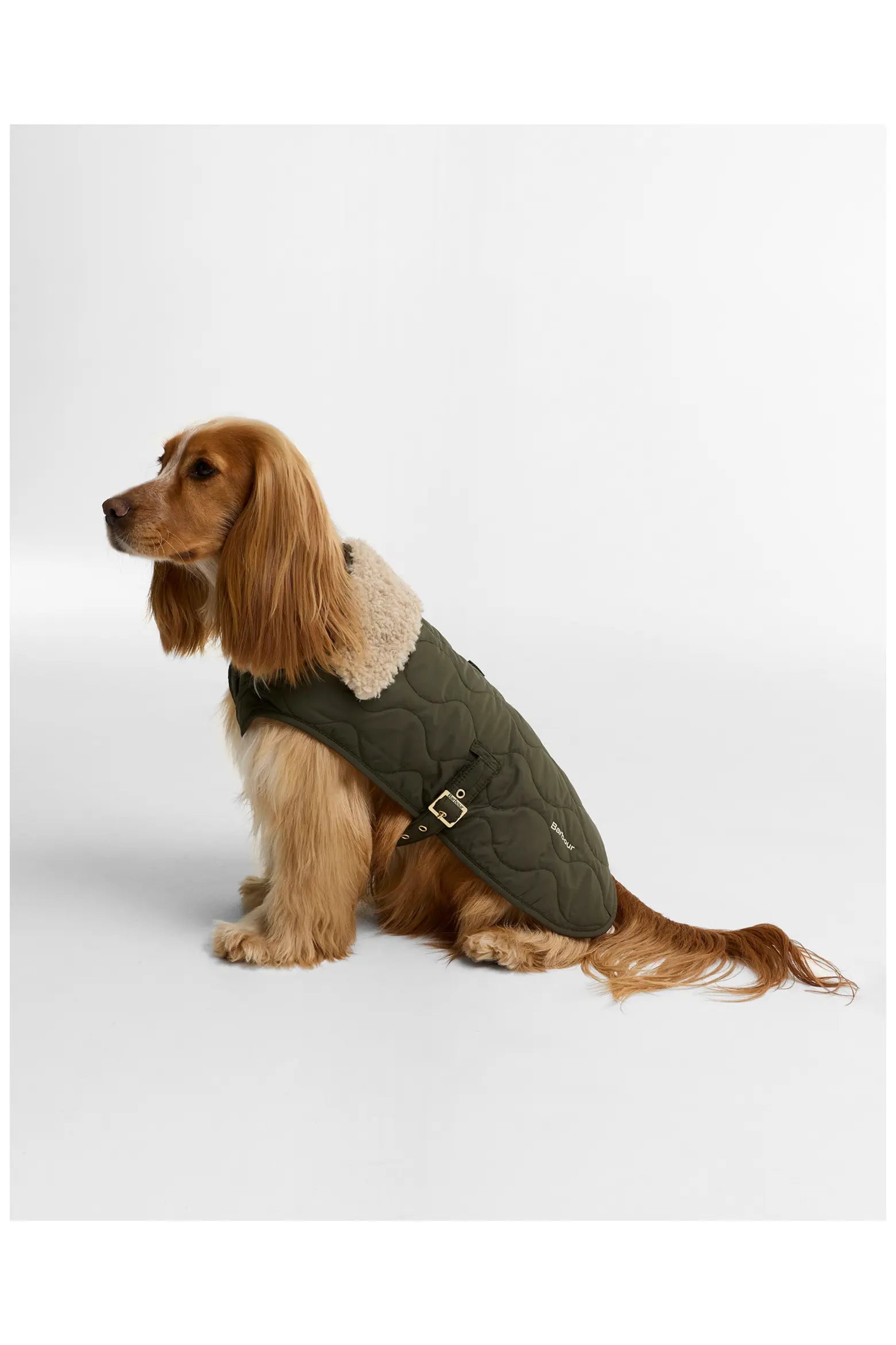 Barbour Beith Dog Coat | Olive
