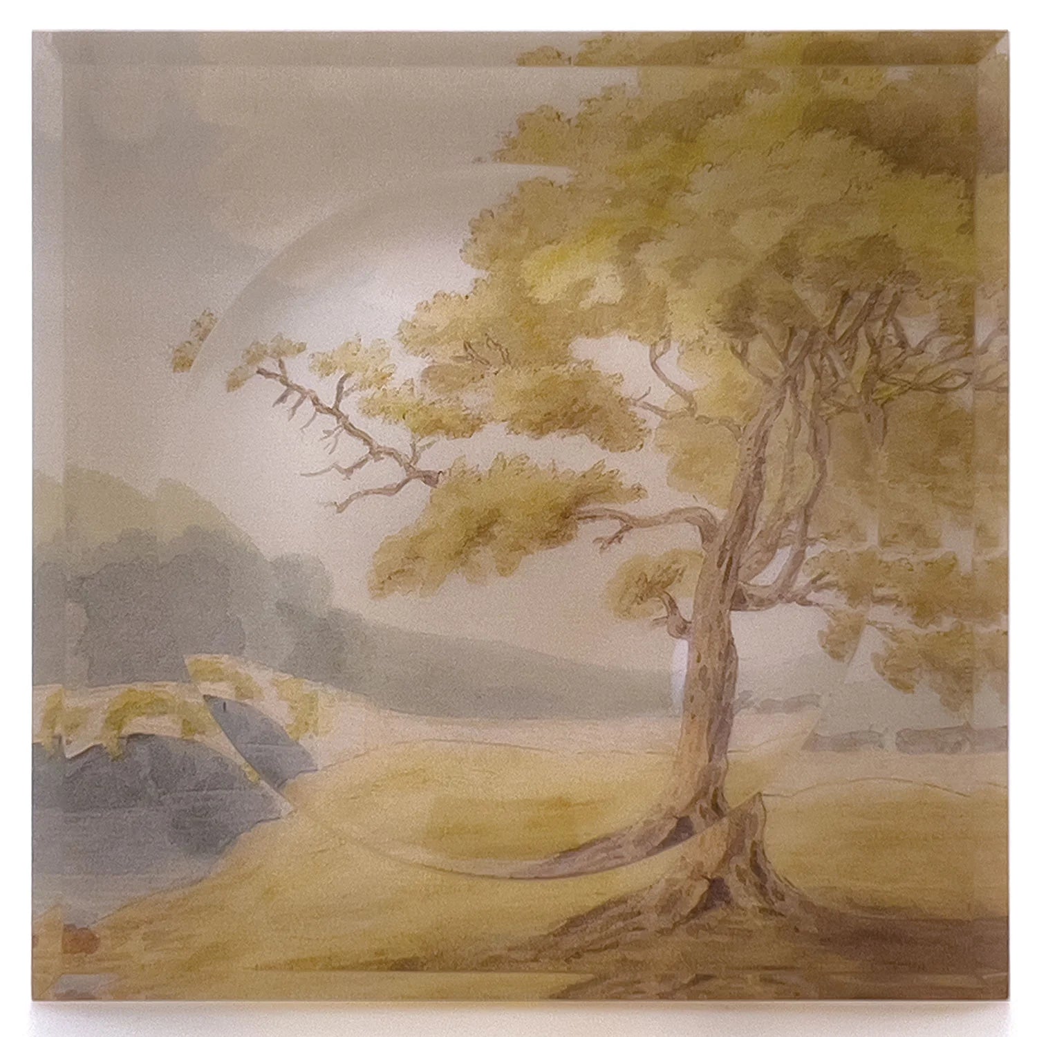 Acrylic Soap Dish (multiple designs)