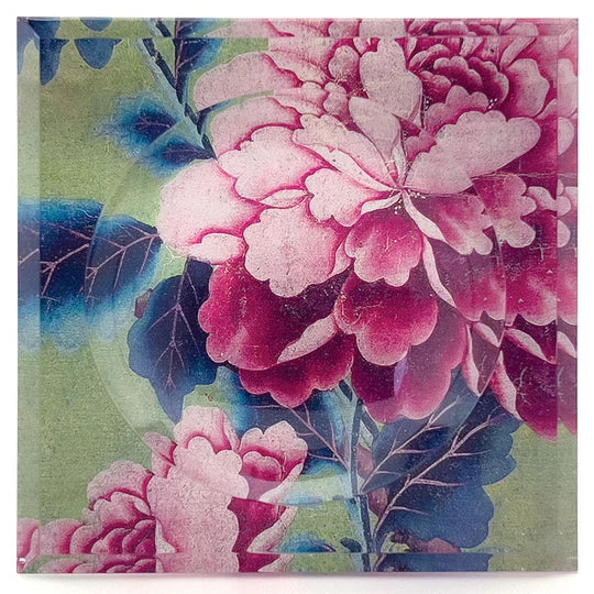 Acrylic Soap Dish (multiple designs)