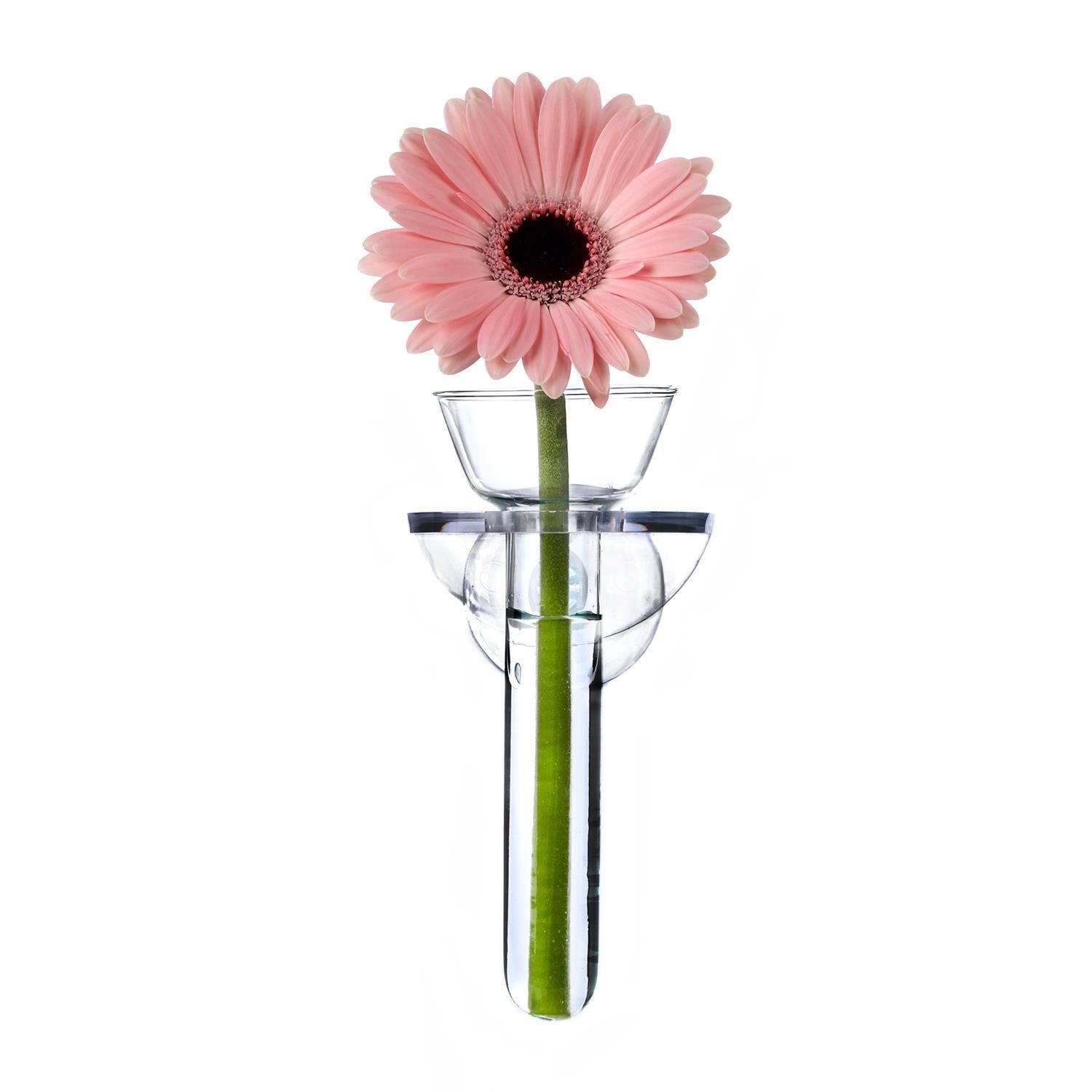 Wall Flowers Vase in Gift Box - Acrylic/Glass