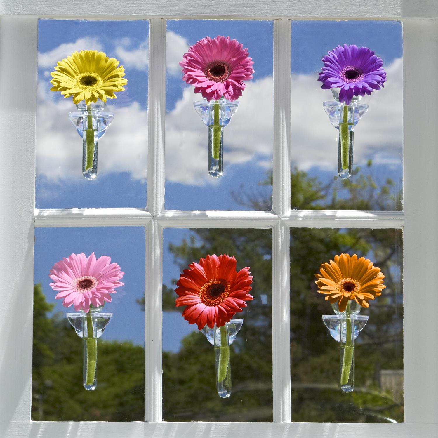 Wall Flowers Vase in Gift Box - Acrylic/Glass