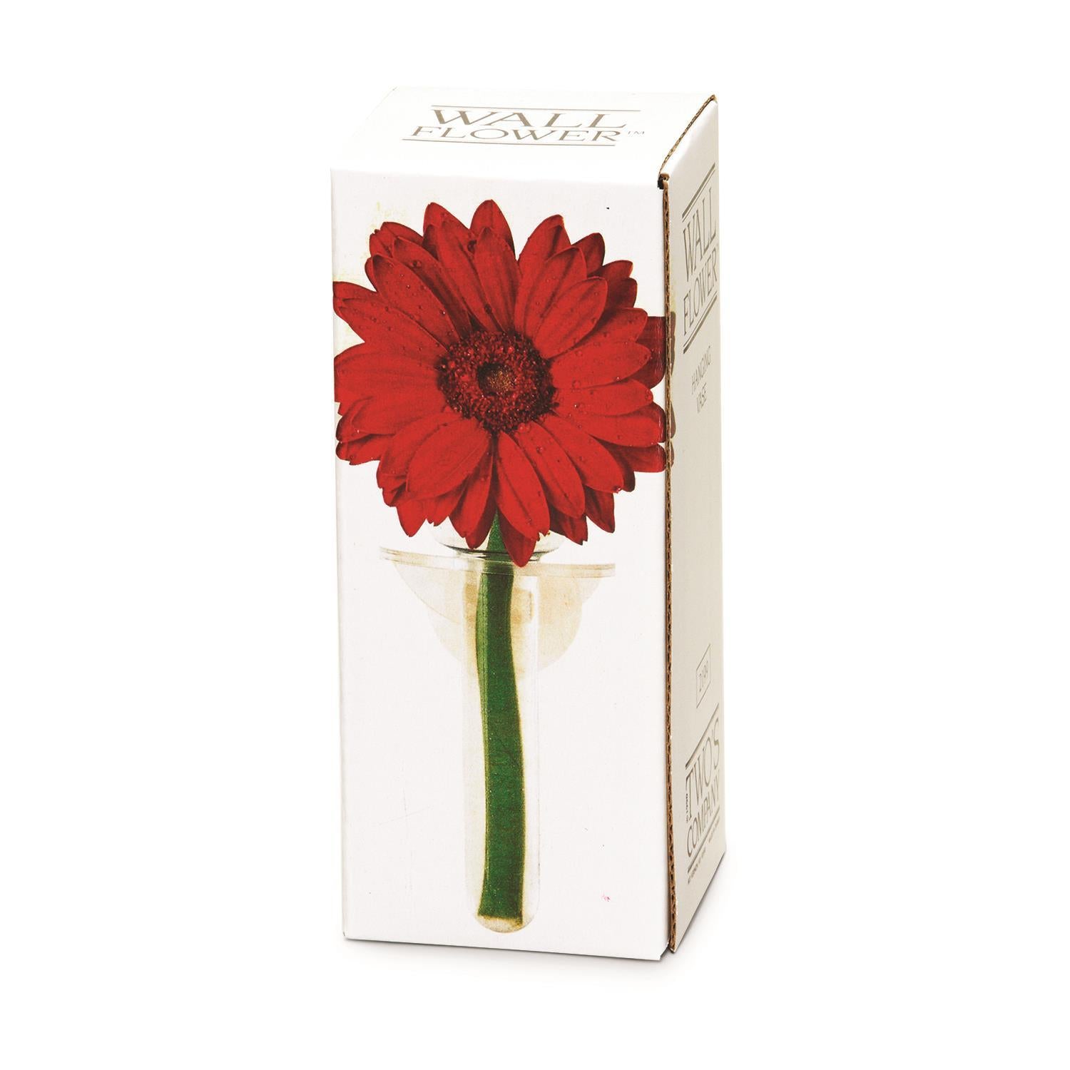 Wall Flowers Vase in Gift Box - Acrylic/Glass