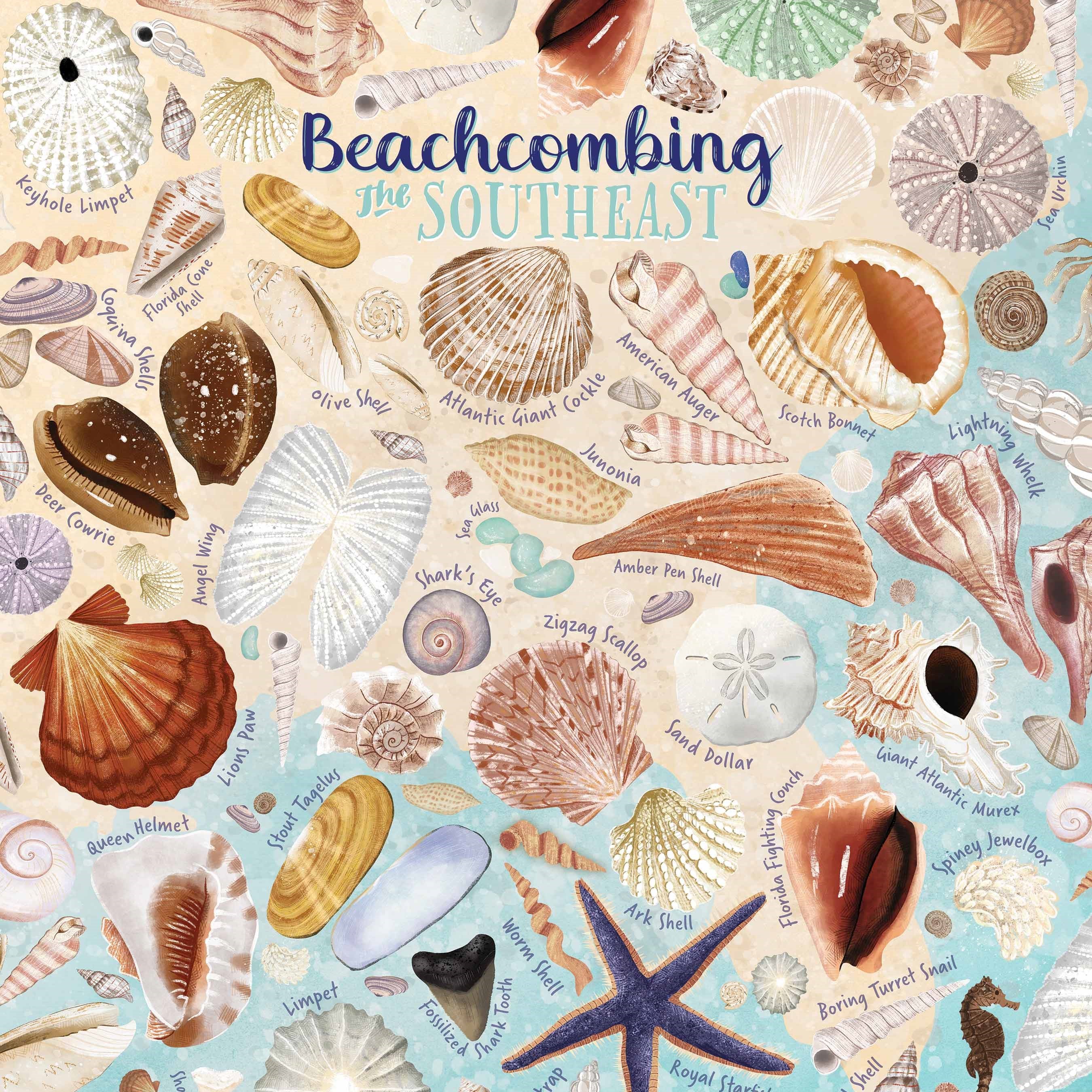 Beachcombing Puzzle - 500pc