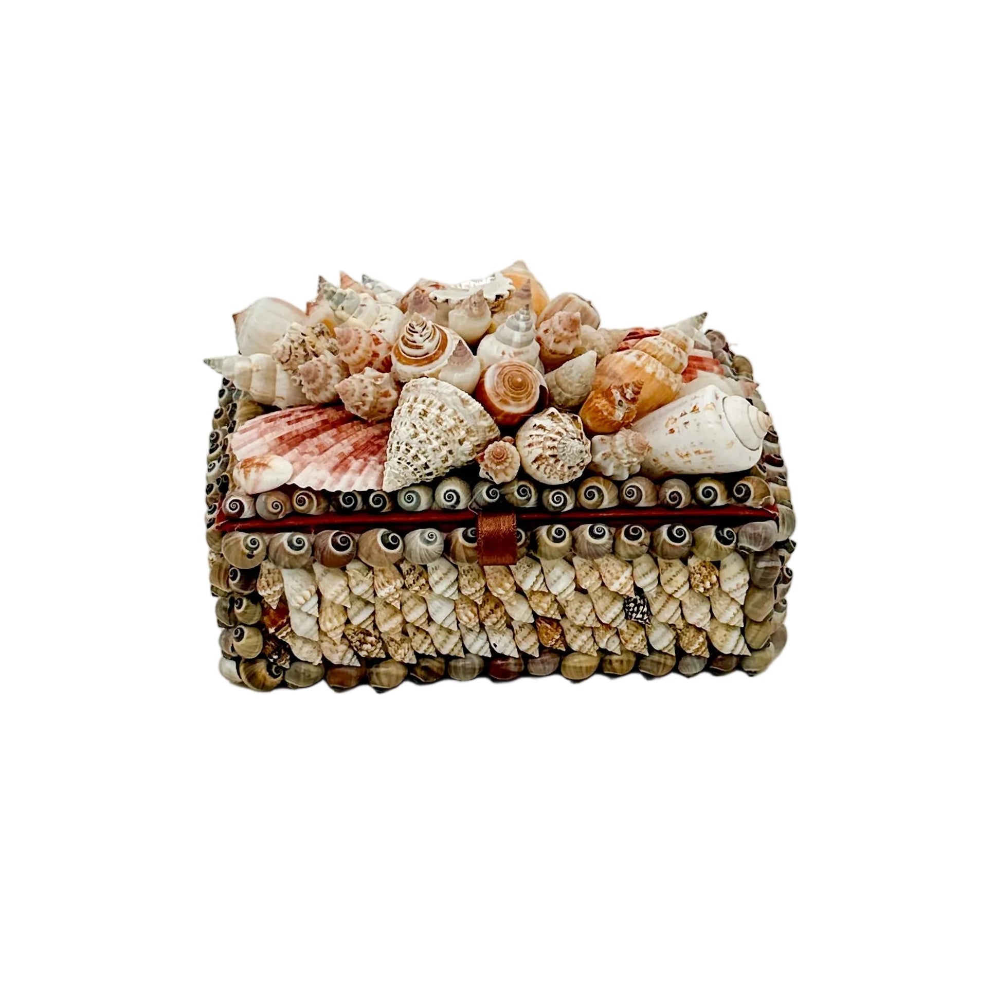Nassa Shell Box