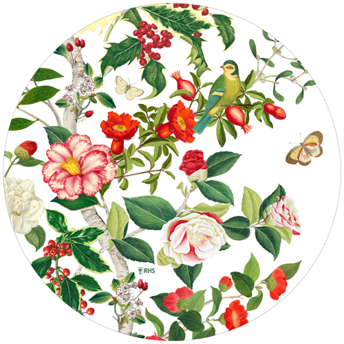 Christmas Chinoiserie Placemat Die Cut