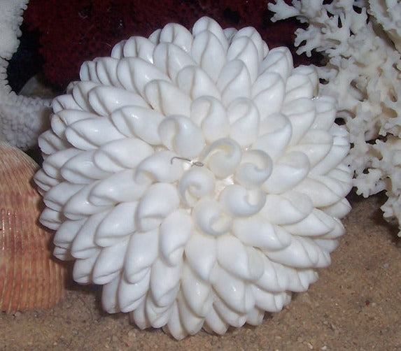 White Bubble Shell Ball - 3"