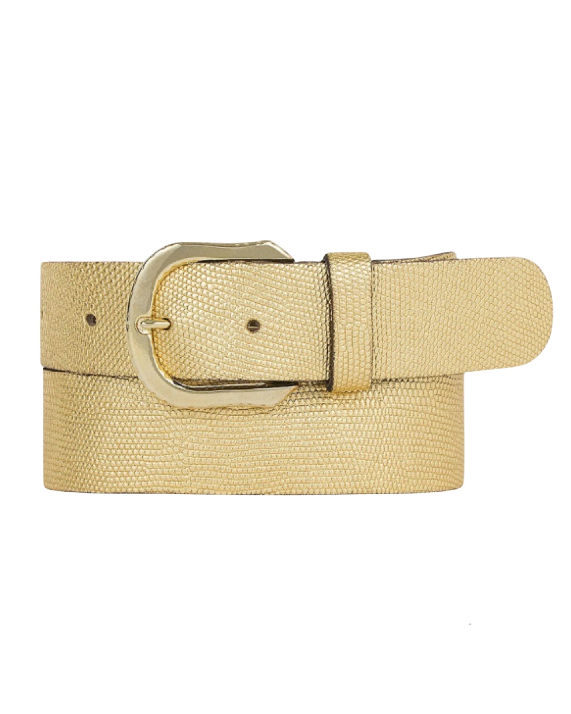 Dana Metallic Iguana Belt - Metallic Gold and Platinum