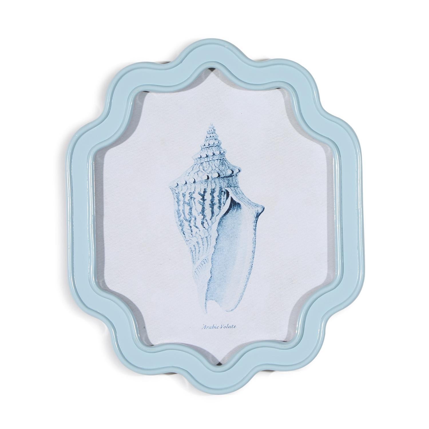 Sea Shell Wall Art - Set of 2