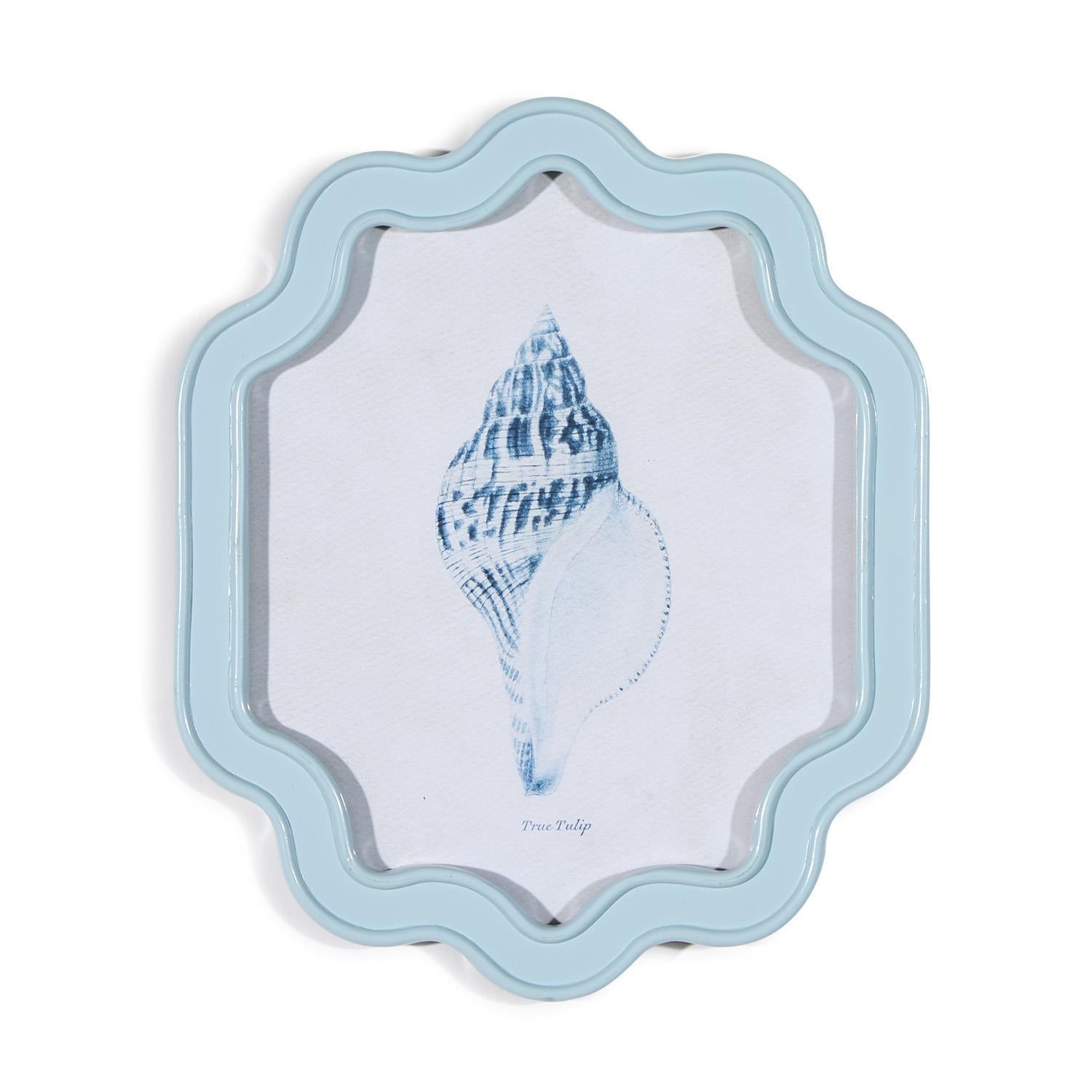 Sea Shell Wall Art - Set of 2