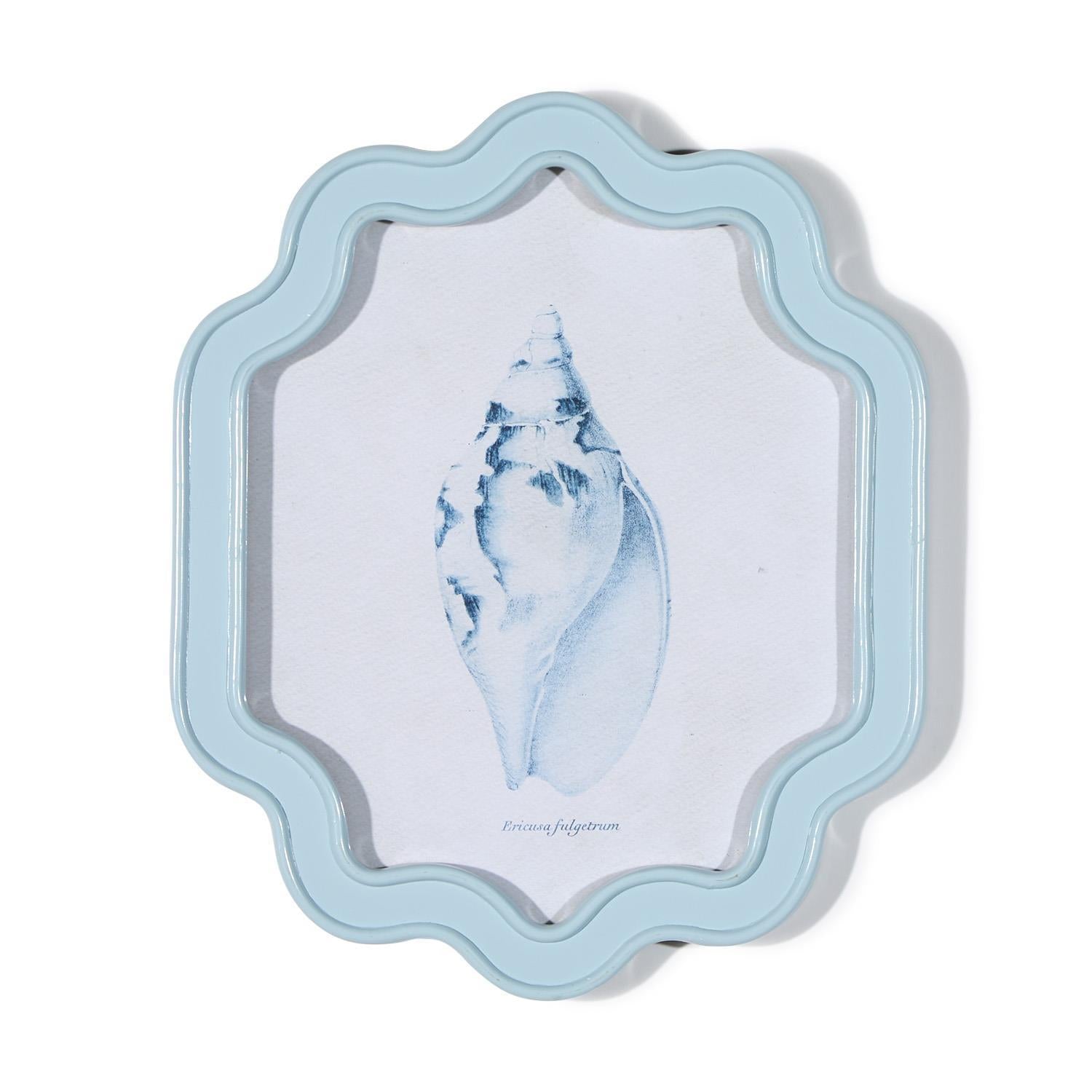 Sea Shell Wall Art - Set of 2