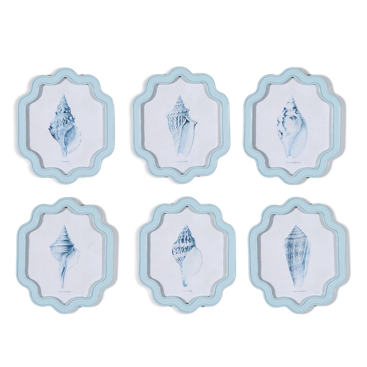 Sea Shell Wall Art - Set of 2