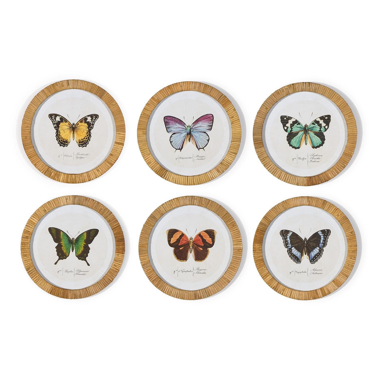 Wild Butterfly Art - Set of 2