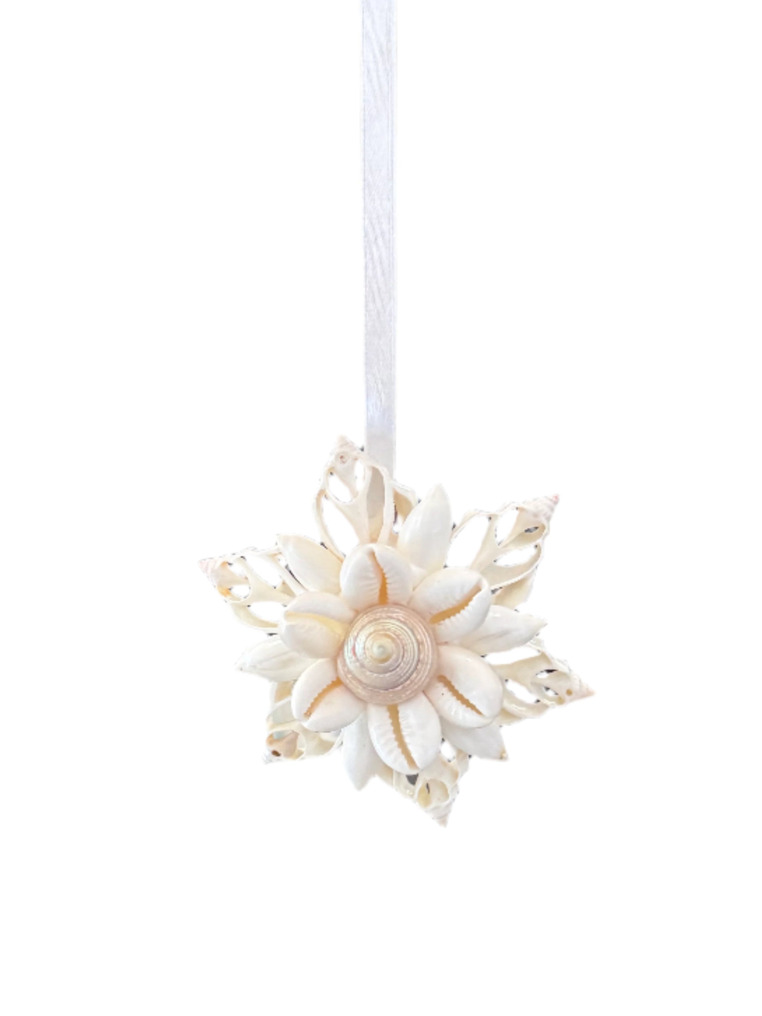 Shell Christmas Ornament