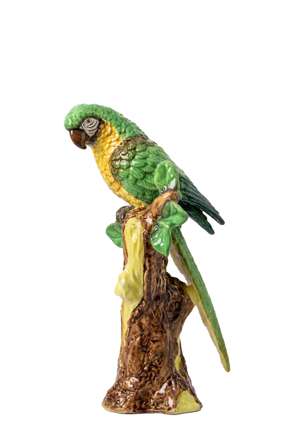 Painted Parrot