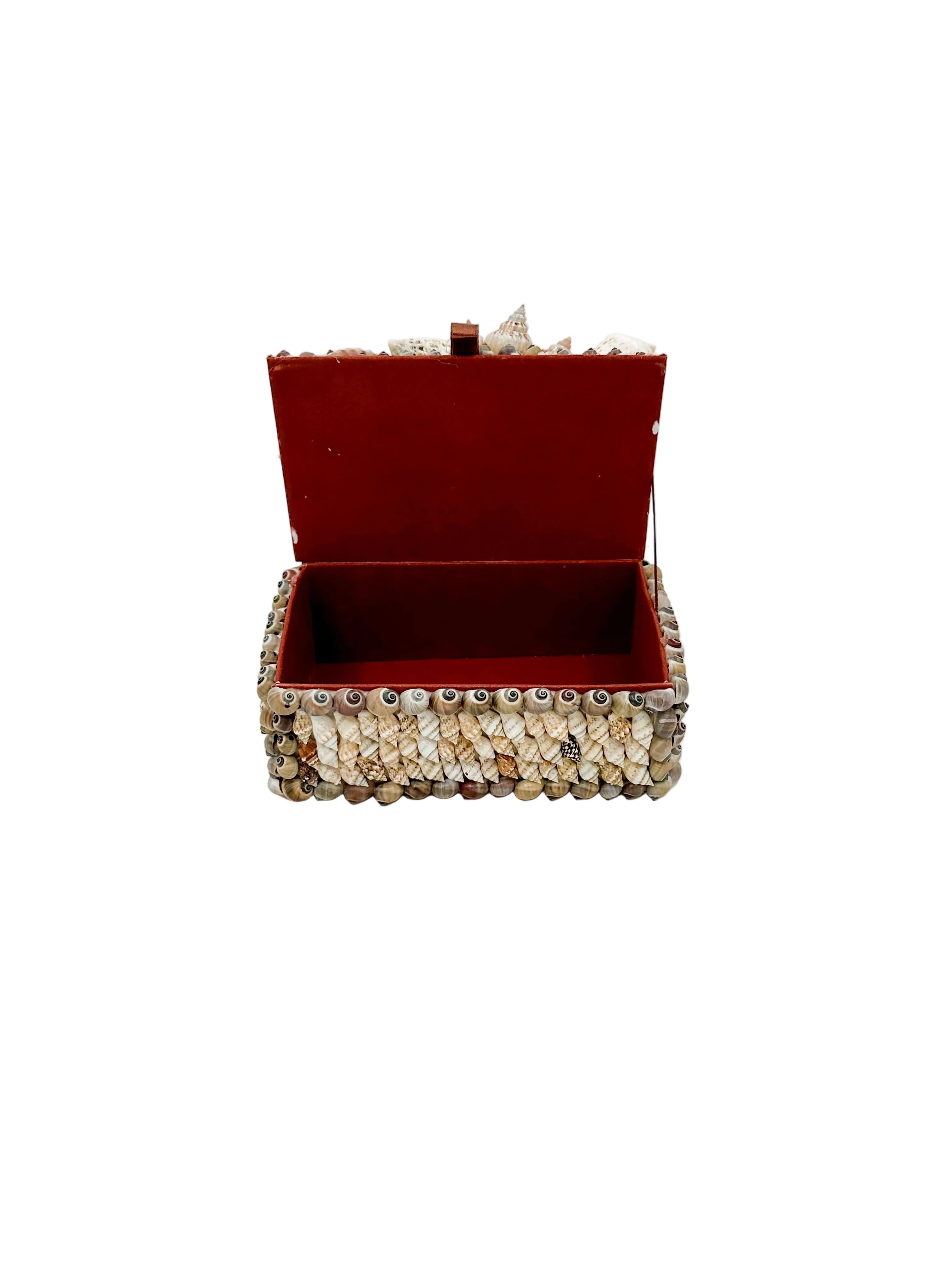 Nassa Shell Box