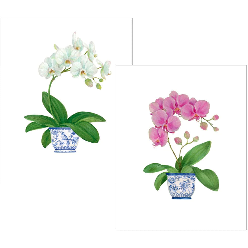 Potted Orchids Boxed Note Cards - 10 Cards and 10 Envelopes per Package