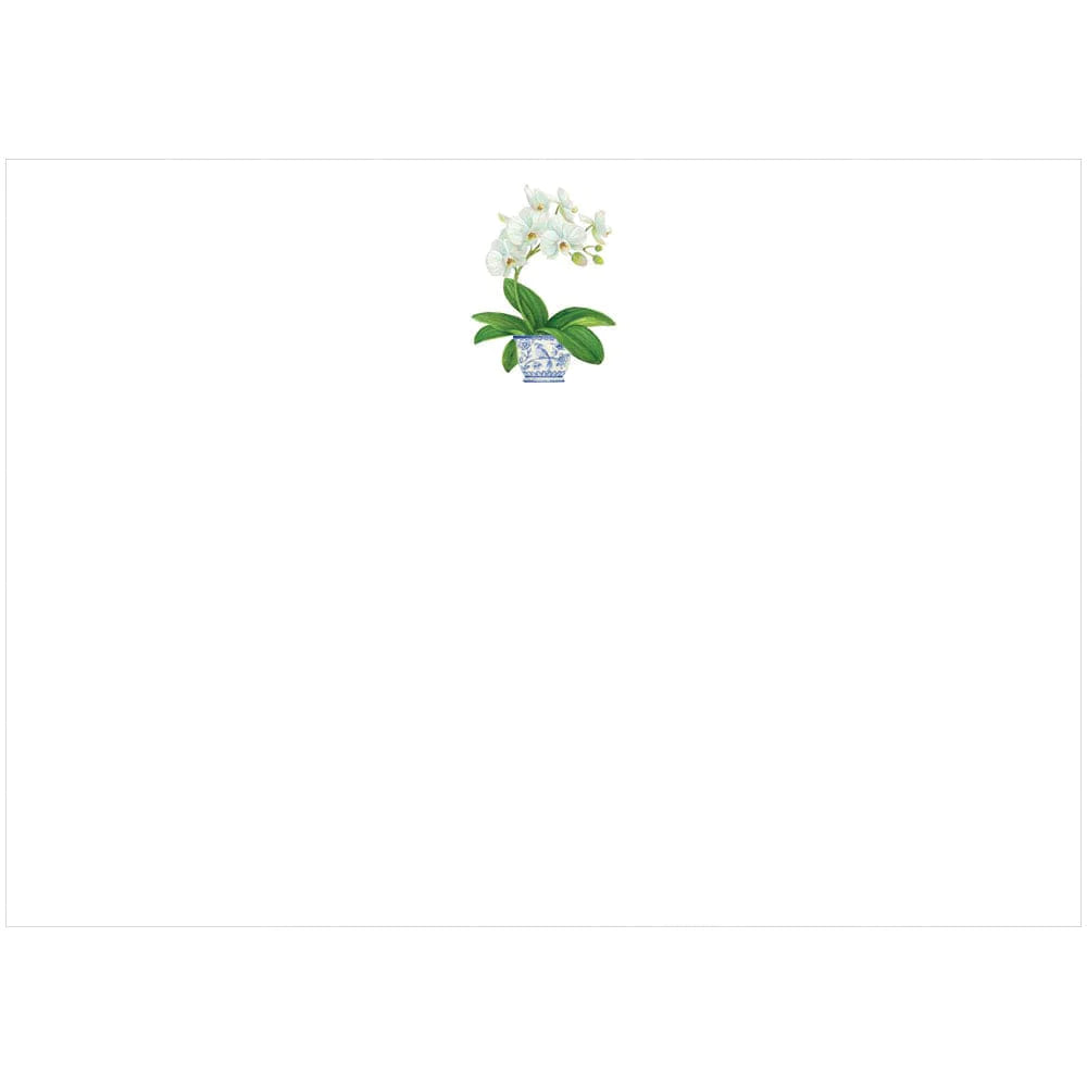 Correspondence Card - White Orchid