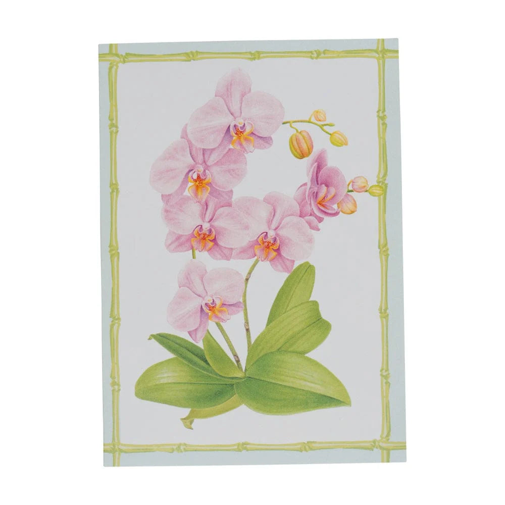 Caspari Correspondence Orchid Conservatory
