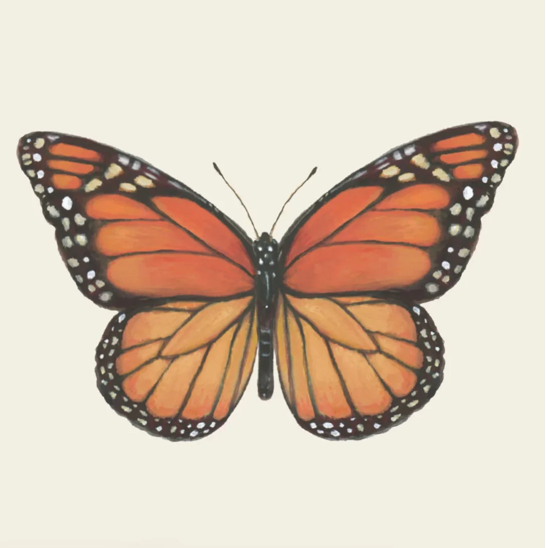 Butterfly Cocktail Napkins - Pack of 20