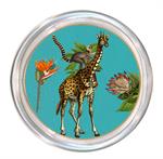 5" Glass Coaster (Multiple Styles)