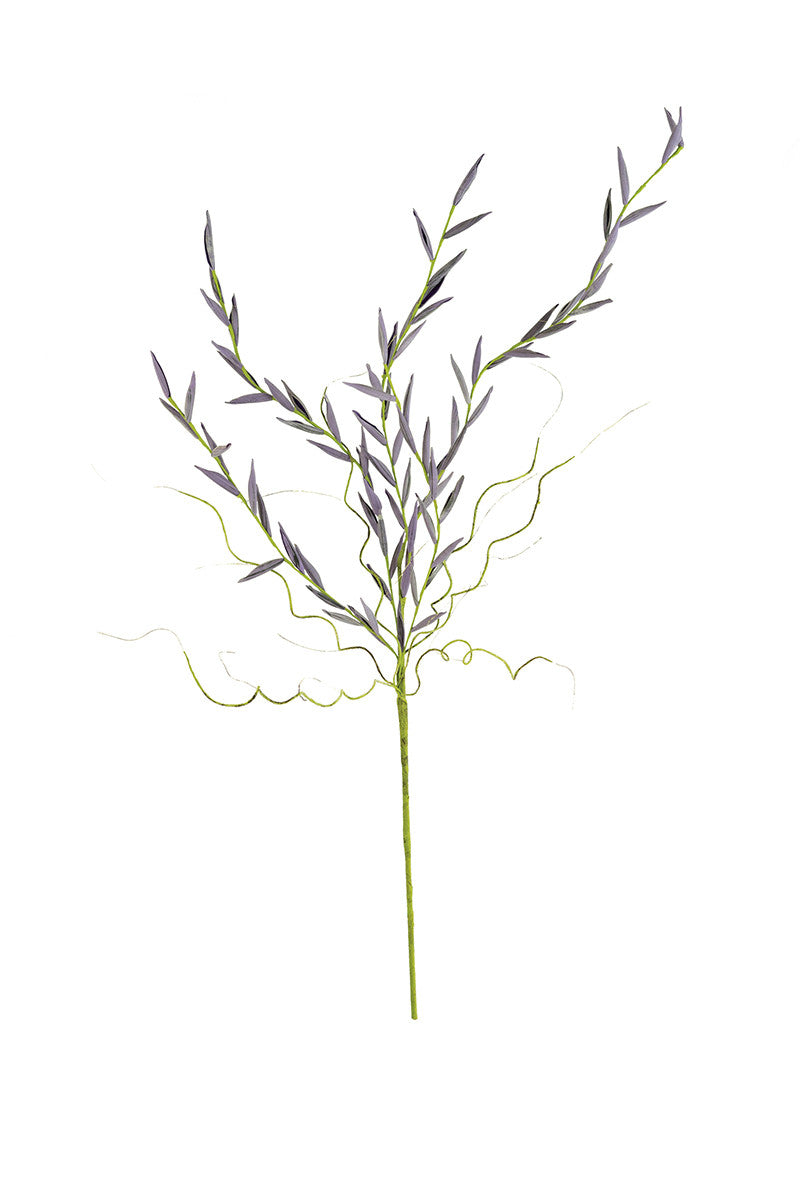 Botanica Lavender Stem