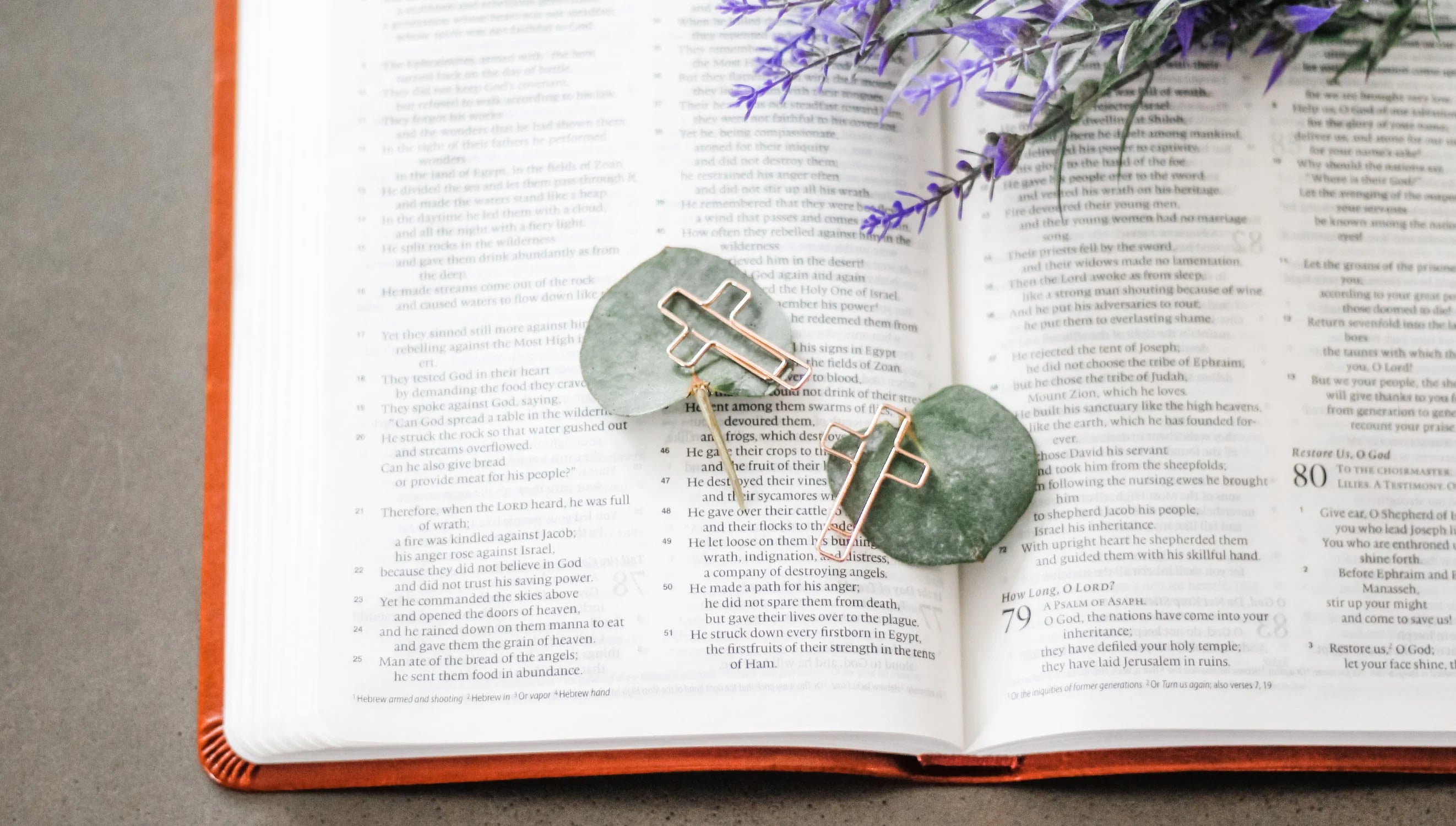 Cross Bible Clips