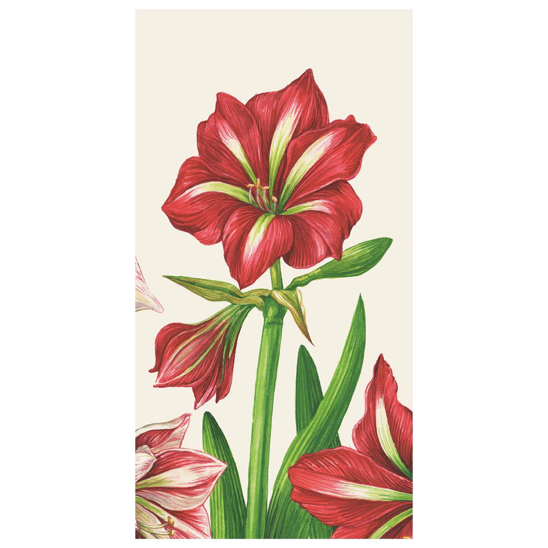 Amaryllis Guest Napkins - Pack of 16