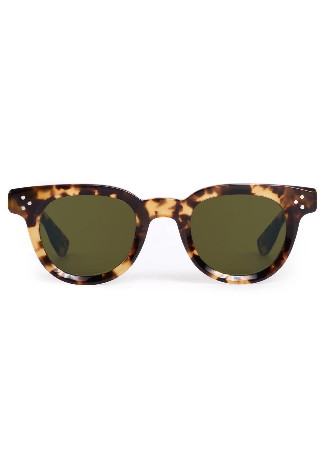 Krewe Devon | Nikko Tortoise