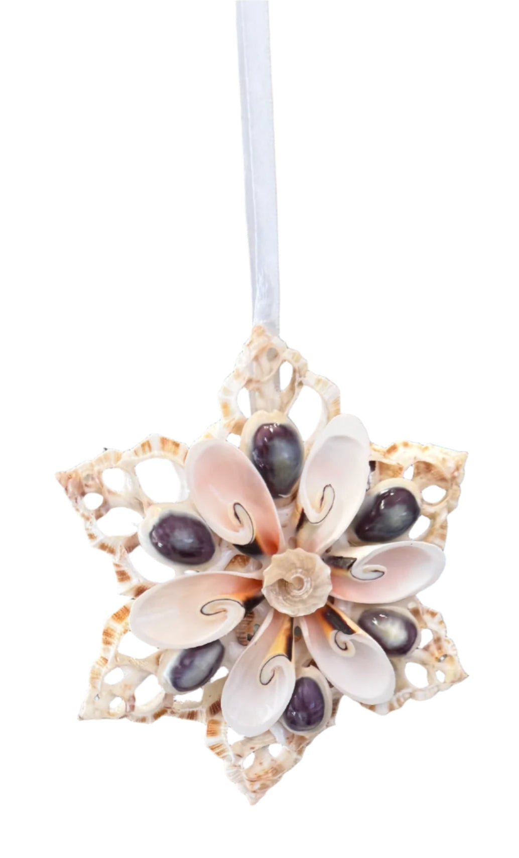 Shell Ornament - Star