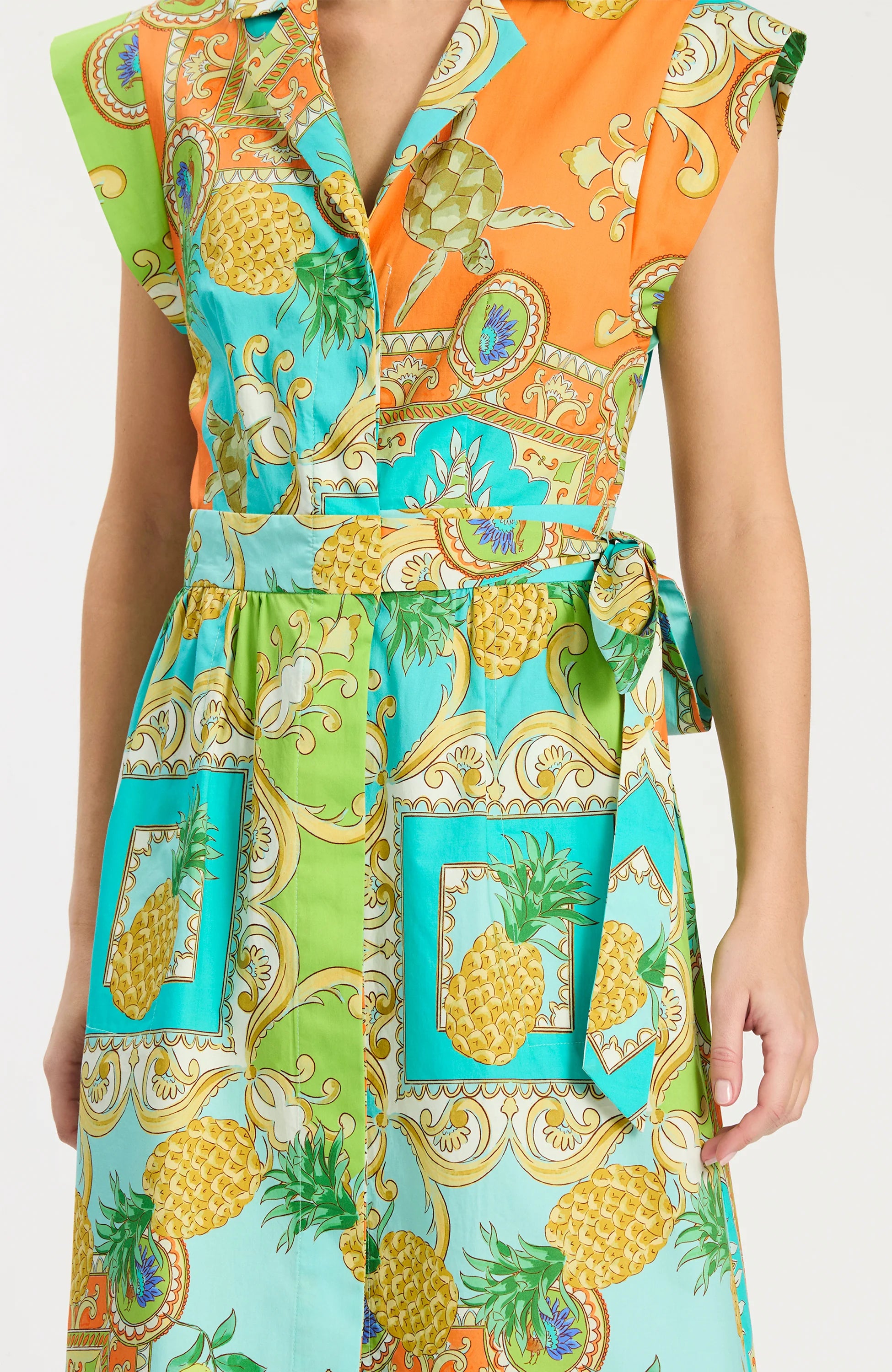Tyler Boe Paige Positano Dress