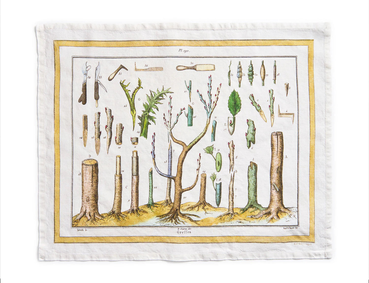 Reprotique Grafting Garden Tea Towel