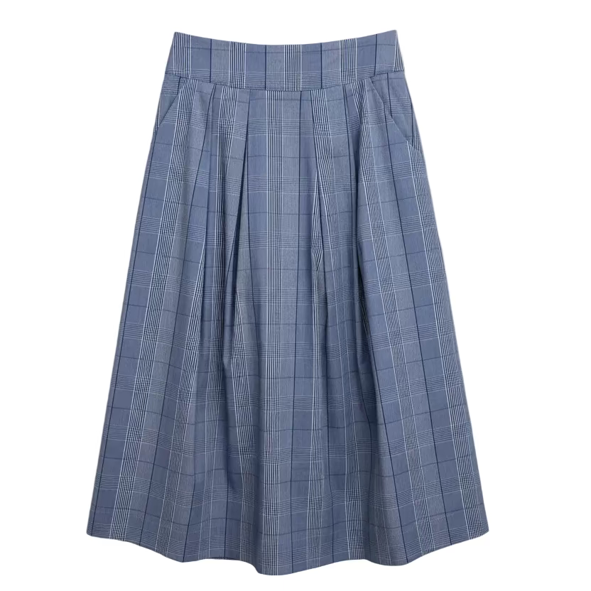 Plaid Skirt in Blue and White