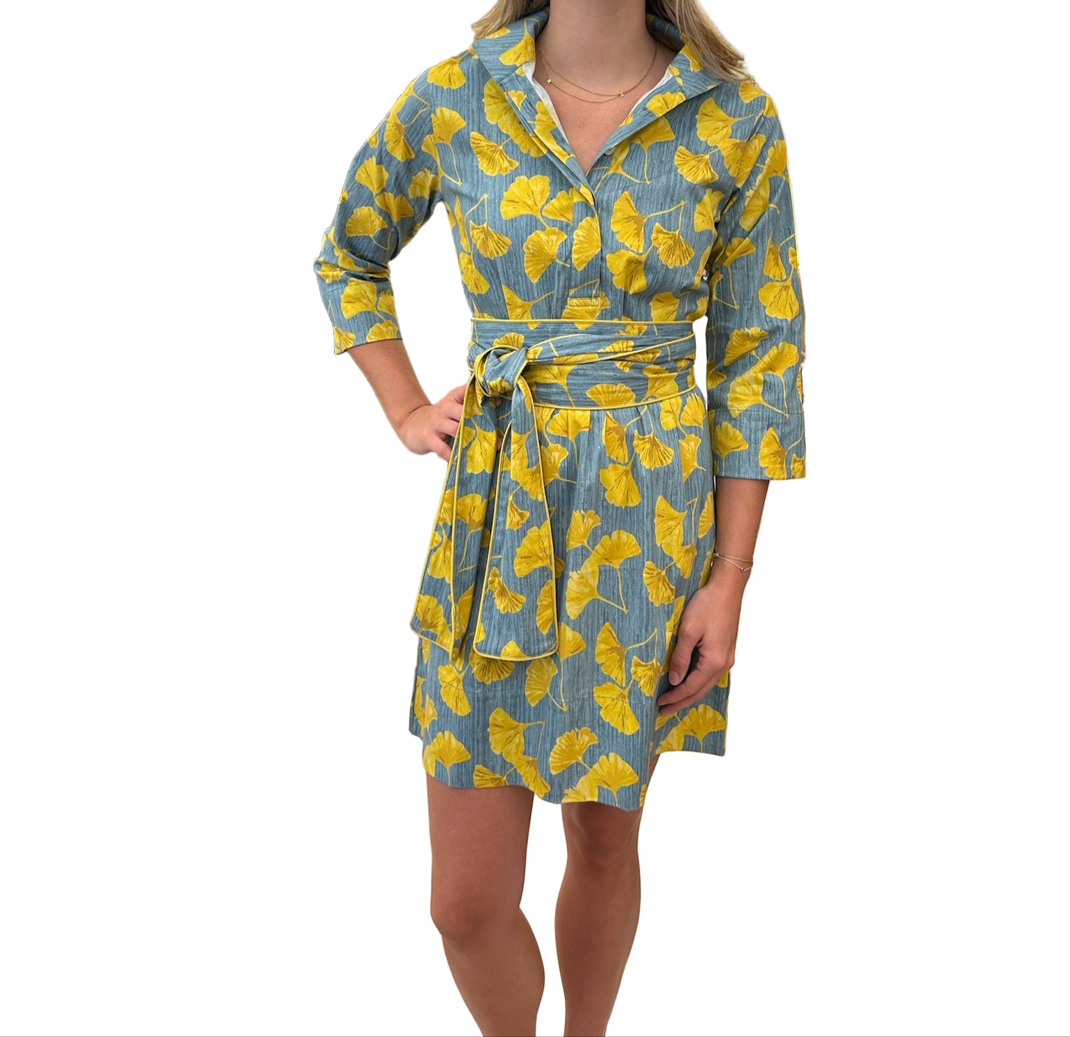 Holly Shae Arden Dress - Gingko