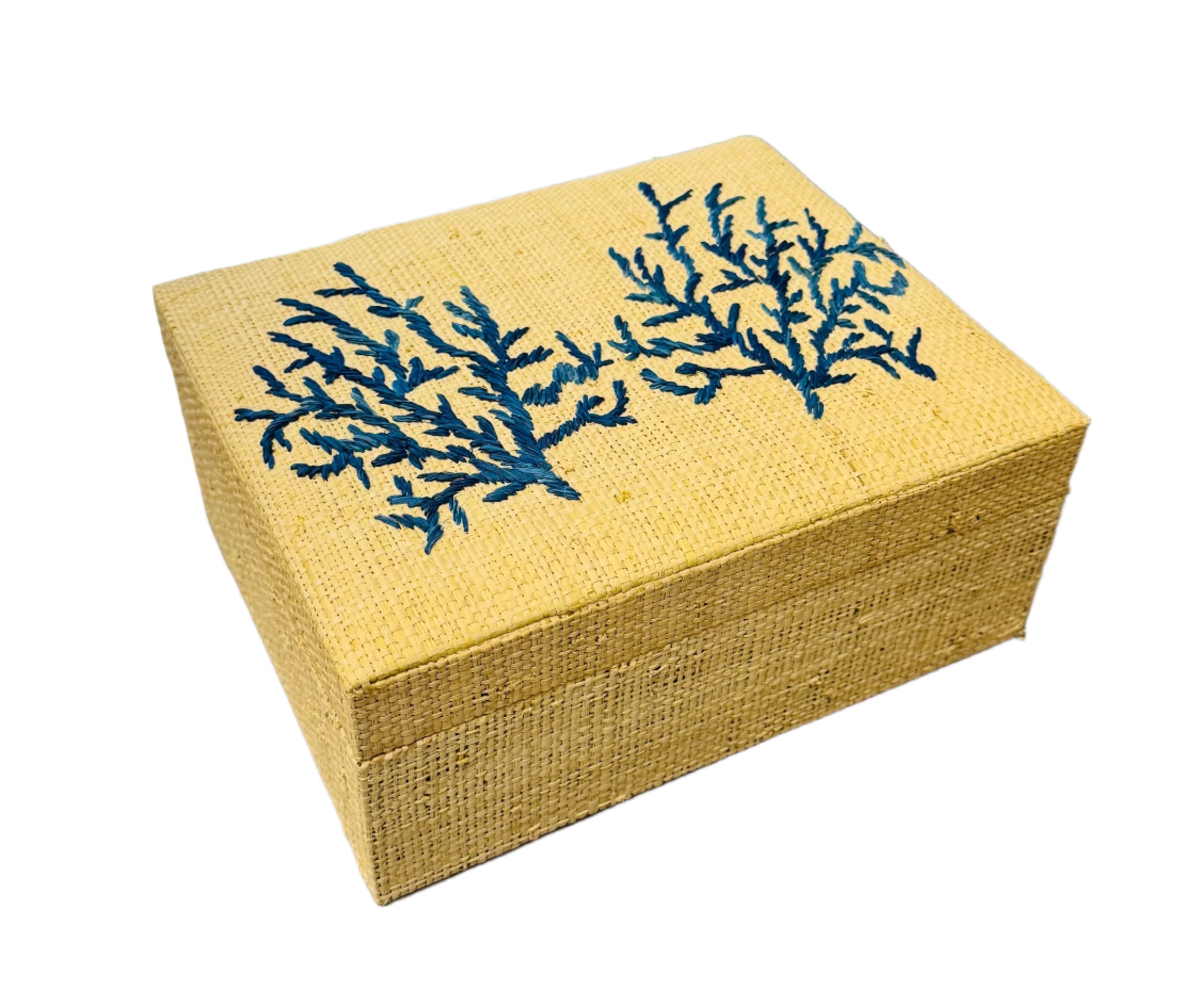 Coral Lagoon Natural Fiber Raffia Box