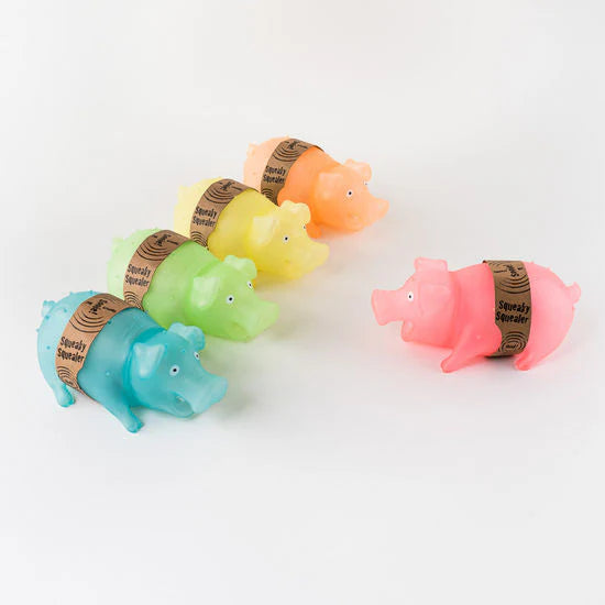 Squeaky Pig - 5 Colors