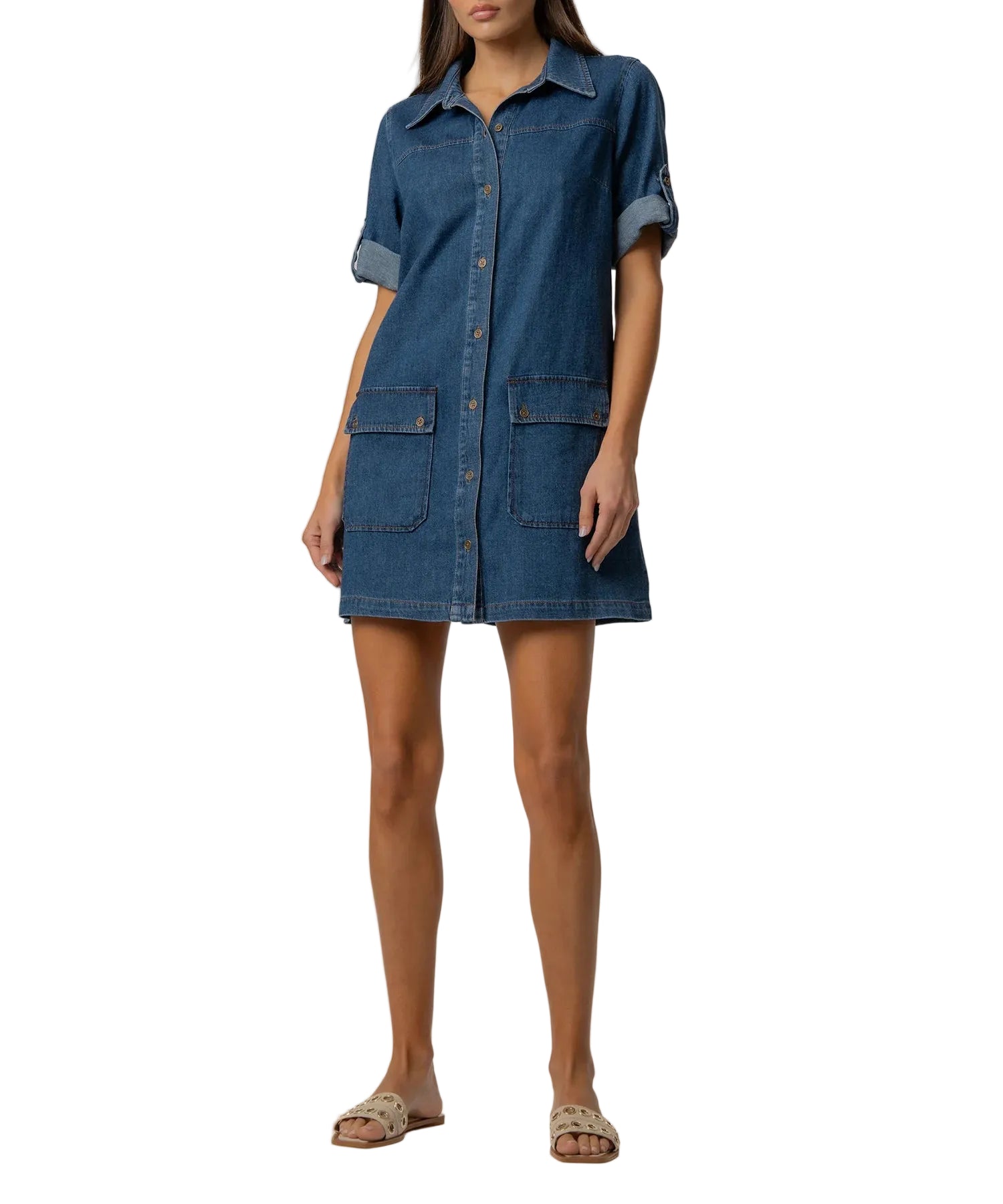 Eliza Denim Dress