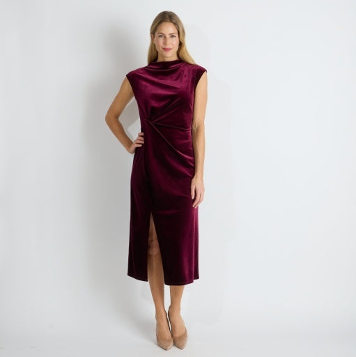 Jude Connally Autumn Stretch Velvet Dress | Merlot
