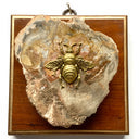 Museum Bees  Wooden Frame With Grande Bee On Petrified Wood (4.5" Wide)
