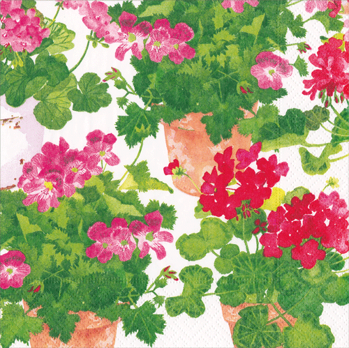 Trailing Geranium Napkin Luncheon Napkin
