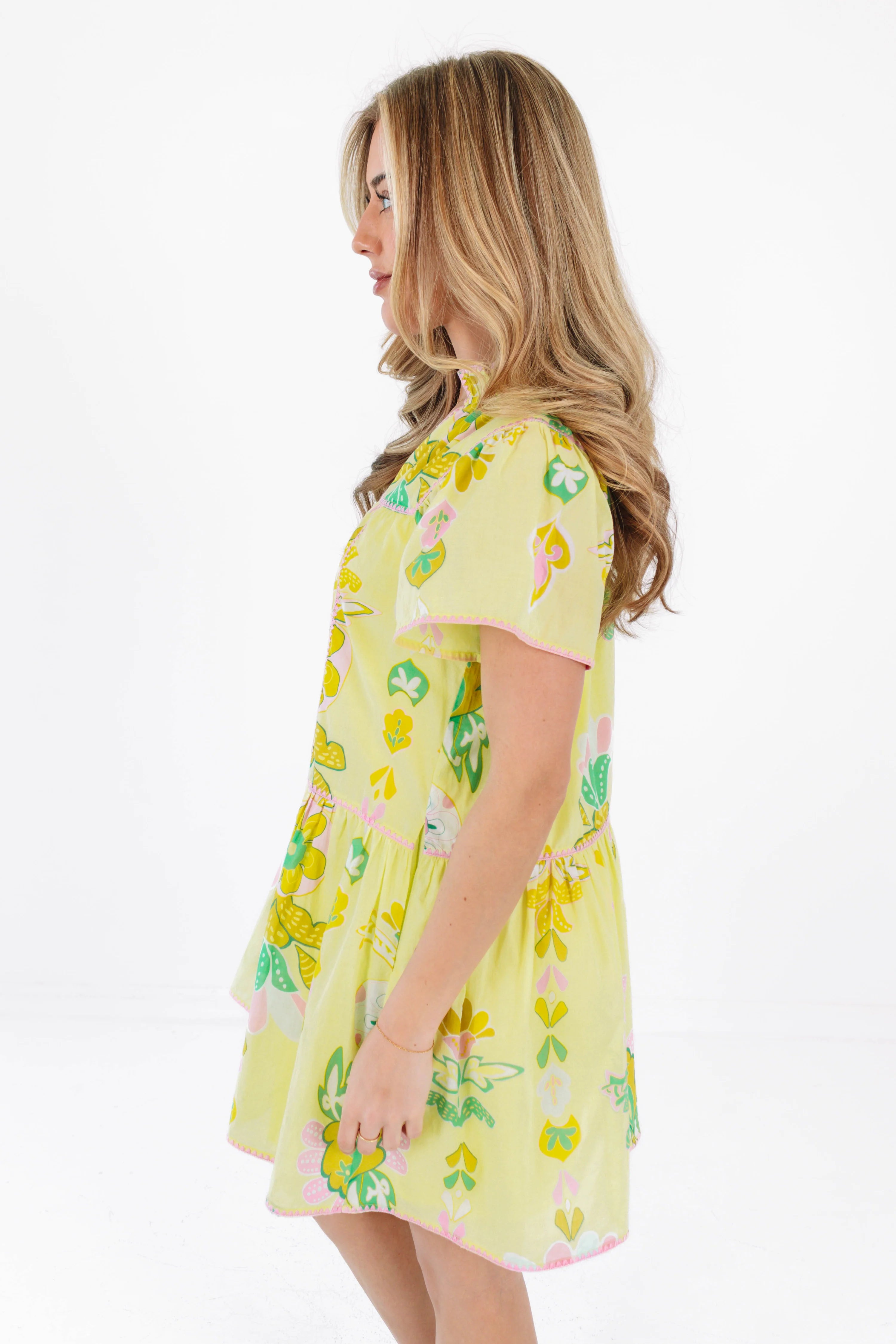 Rainey V-Neck Dress
