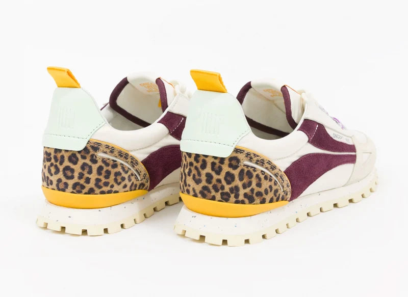 ONCEPT Toronto | Safari Multi