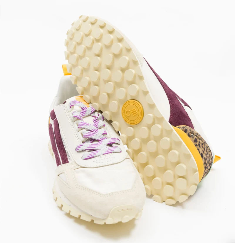 ONCEPT Toronto | Safari Multi