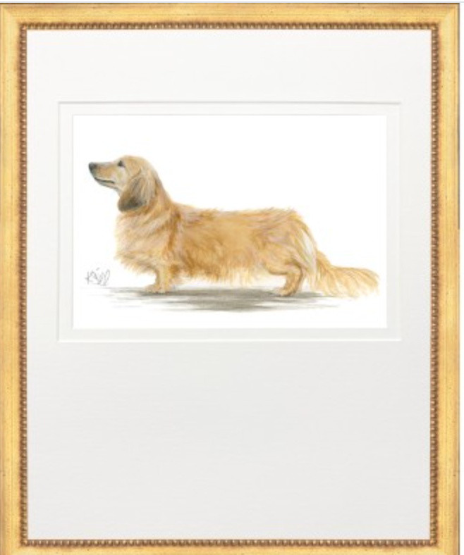 Hunting Dog Prints | Dachshund