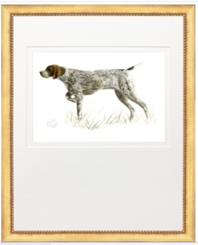 Hunting Dog Prints | German Short-Hair