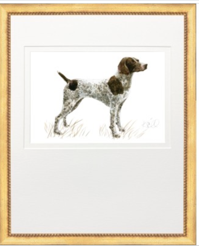 Hunting Dog Prints | German Short-Hair